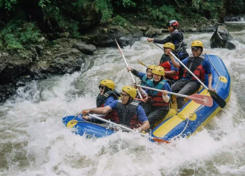 Gathering Perusahaan di Pancawati Bogor: Panduan Lengkap Lokasi, Paket & Harga